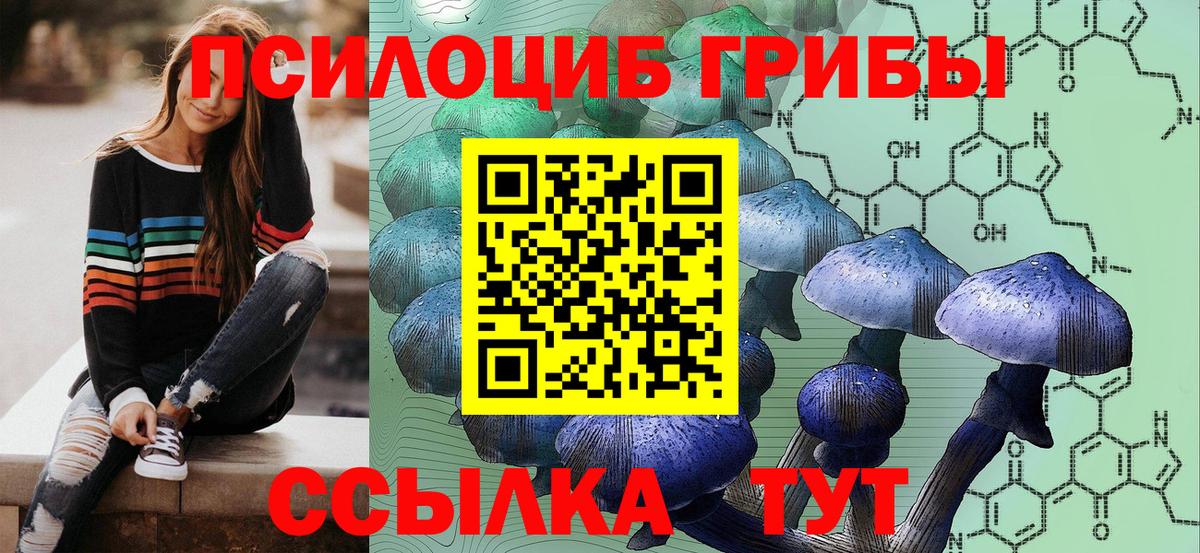 Галлюциногенные грибы прущие грибы Павлово