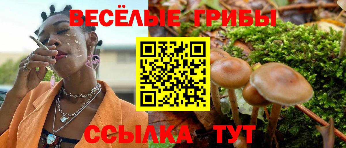 Псилоцибиновые грибы Cubensis  Псилоцибиновые грибы Psilocybe  Вход с VPN  сколько стоит  Павлово 